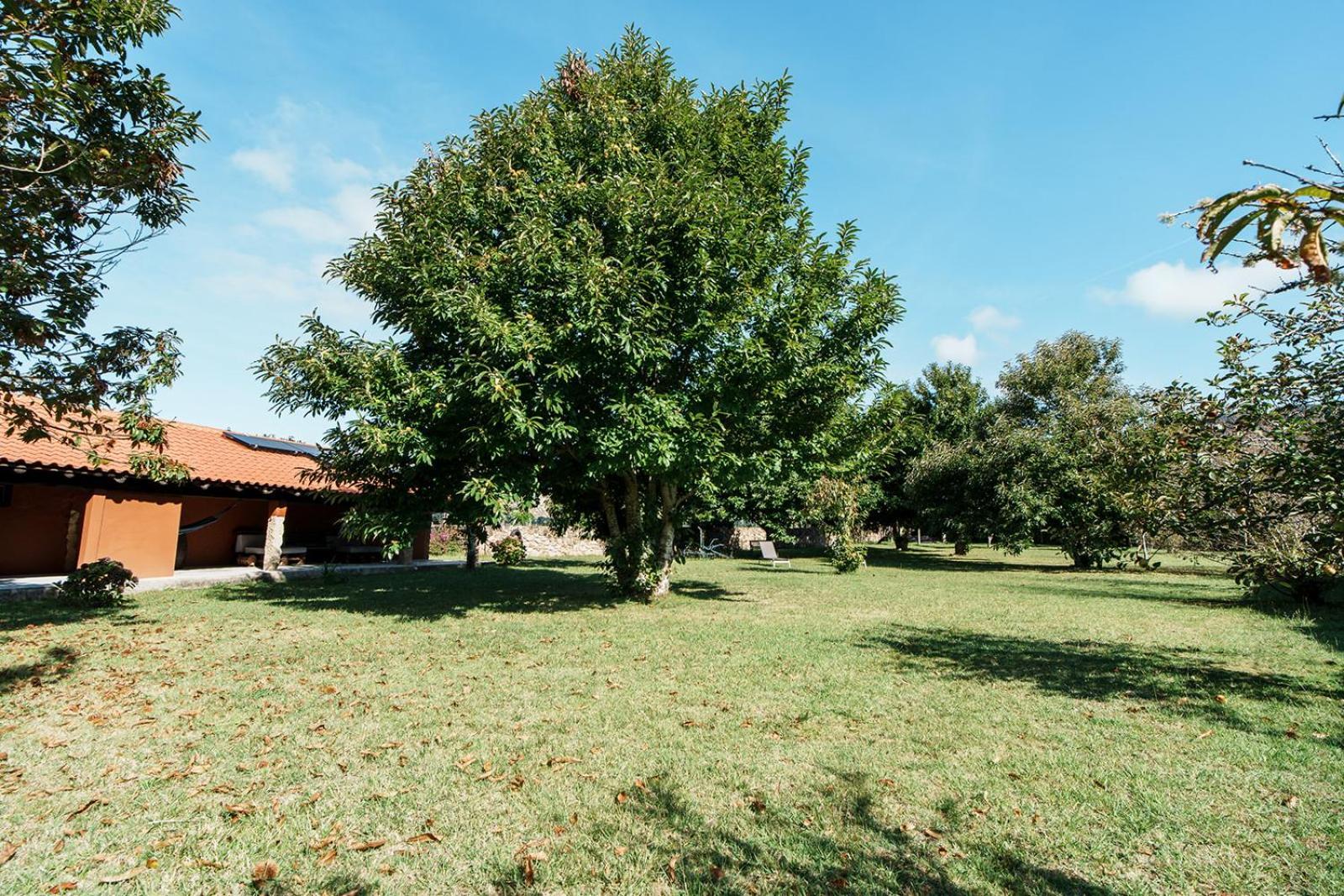 O Fogar Do Carpinteiro Villa การ์โนตา ภายนอก รูปภาพ